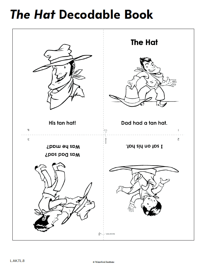 the hat decodable book image