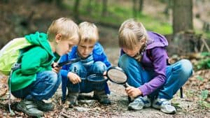 Children finding bugs on forest floor