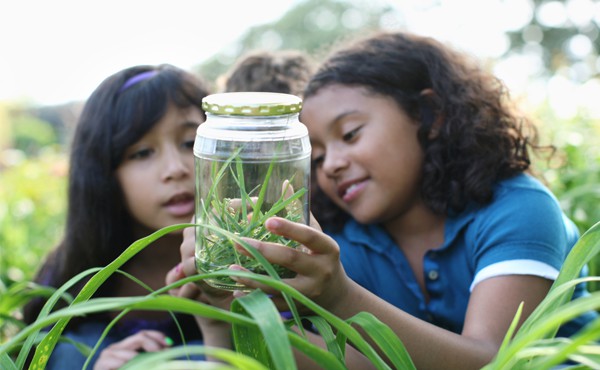 Girls examining bugs in glass jar