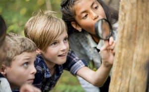 Examining bugs on a tree with magnifying glass