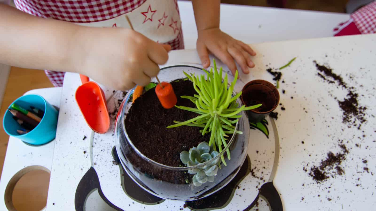7 Fun Garden Activities For Kids That You Can Do Indoors Waterford