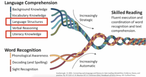 infographic of the Reading Rope