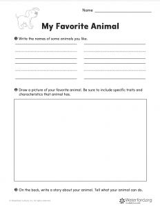 My Favorite Animal worksheet
