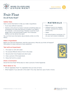 Fruit Float challenge