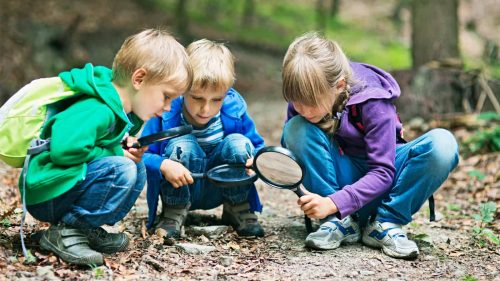Group of children exploring nature on forest floor