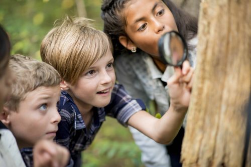 A multi-ethnic group of elementary school kids are hiking outdoors in a forest. They are wearing regular clothing. A Caucasian girl is using a magnifying glass to look for bugs, and her friends are watching.